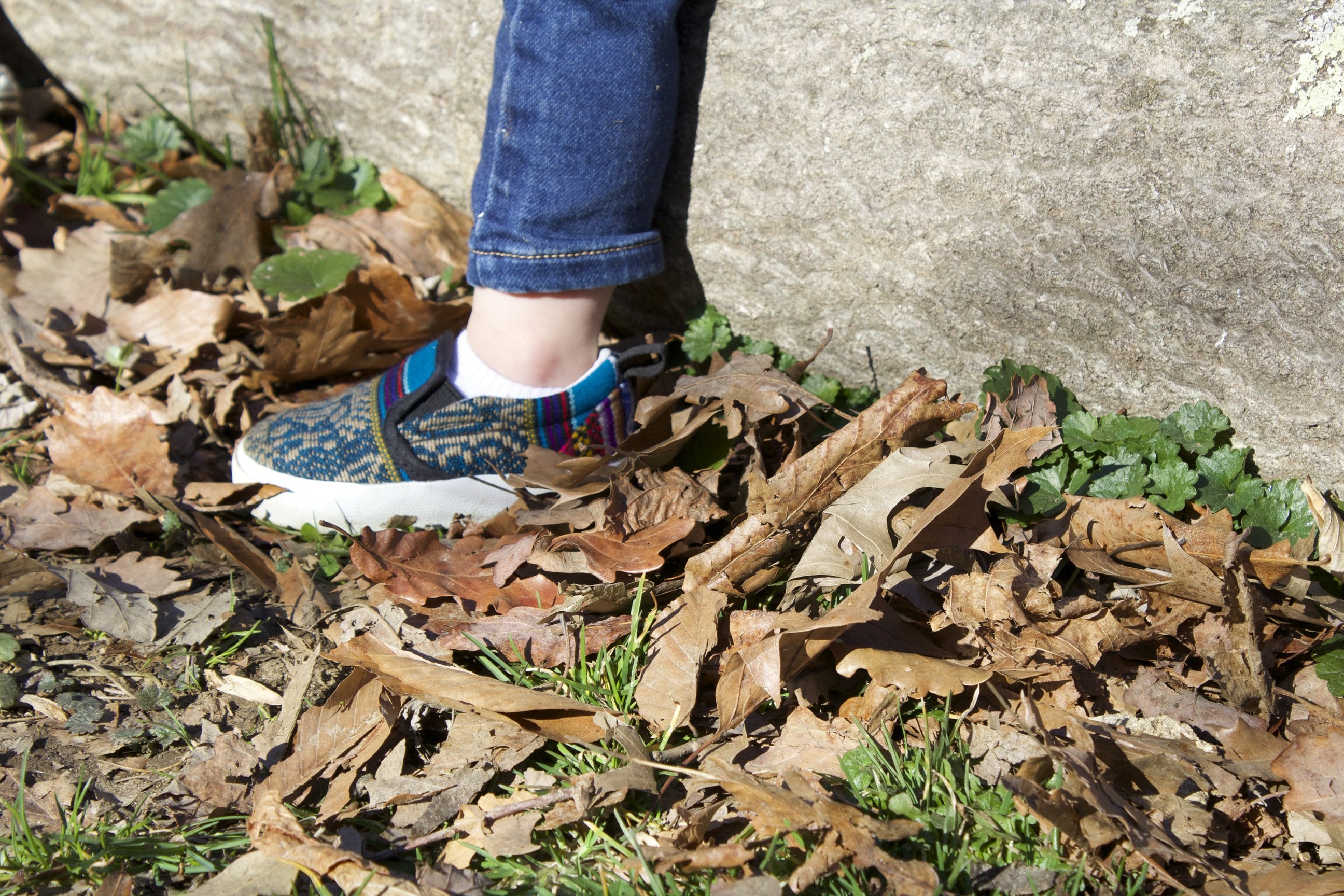Bluebird Slip On - KIDS - ML Footwear