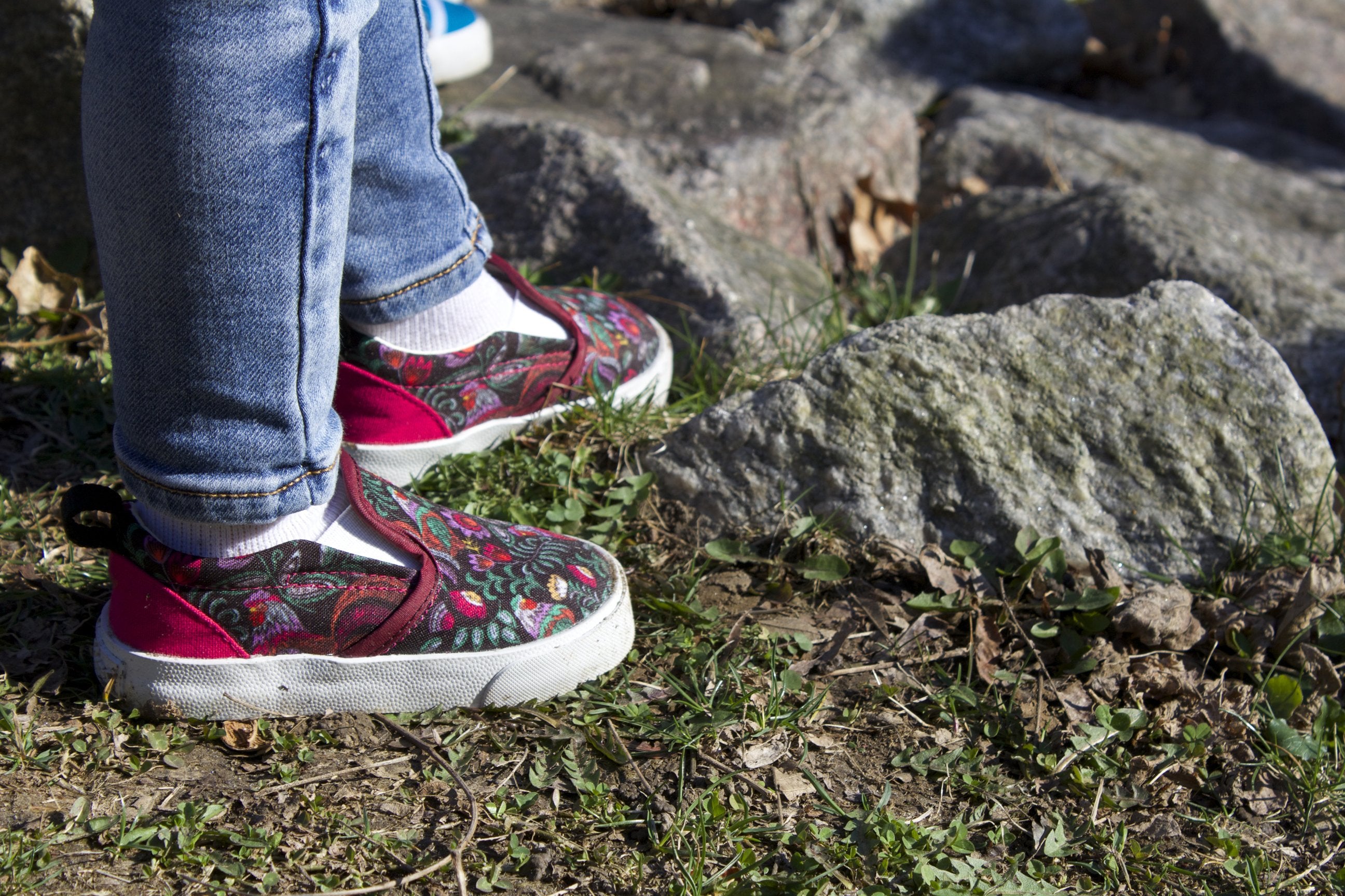 Rooster Slip On - KIDS - ML Footwear