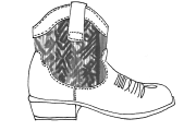 Western Boots