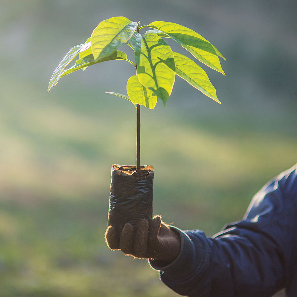 Shoes that connect the world | INKKAS® | Spread Joy â Inkkas - Global Footwear, LLC