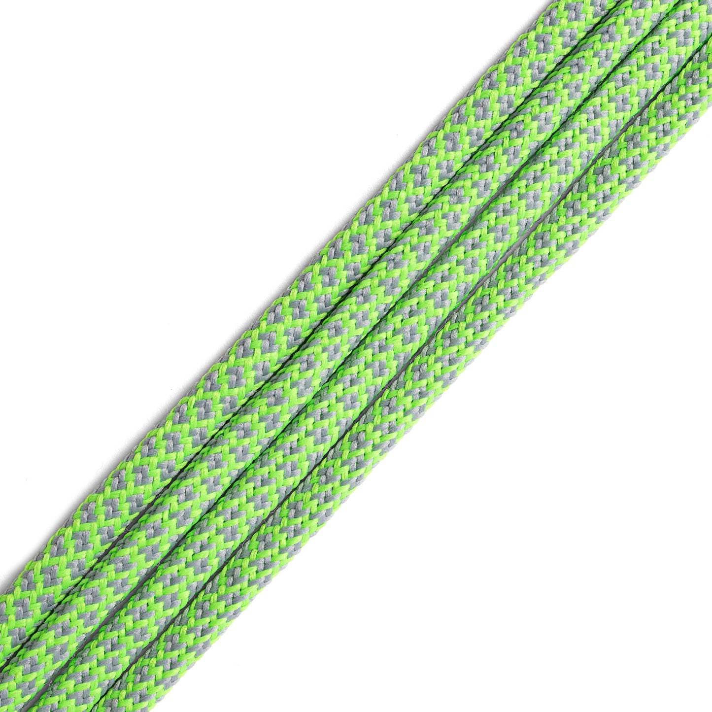 Budgerigar Laces